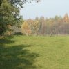 Polowania 26.10.08